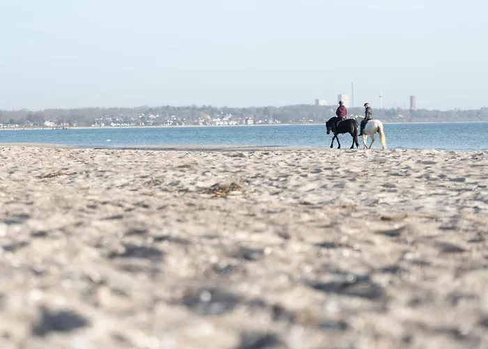 Apartment Wohnpark Am Muehlenteich - 28